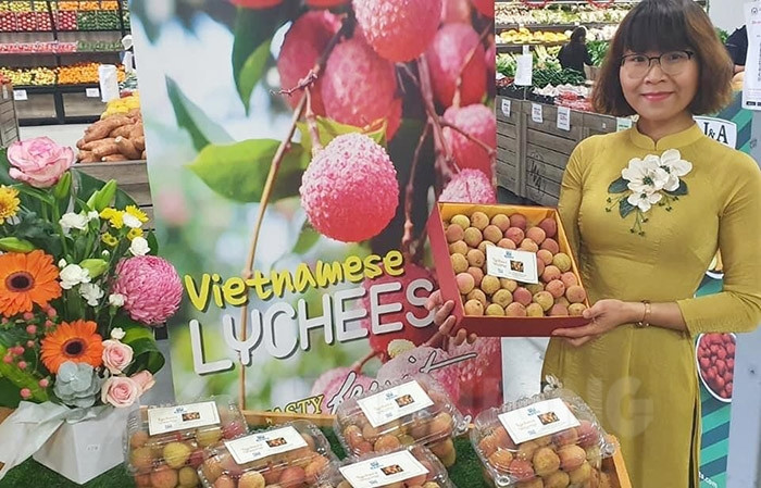 1 kg of Hai Duong lychees bought for nearly VND52 million to support epidemic prevention